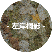 左岸桐影